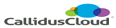 Callidus Cloud